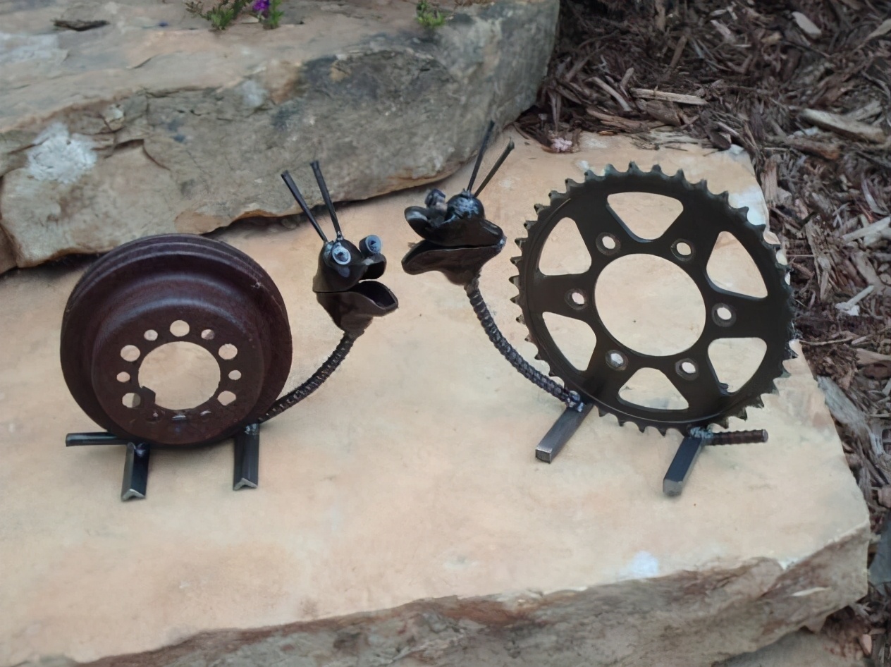 各种各样的真的小蜗牛,美丽的蜗牛图片