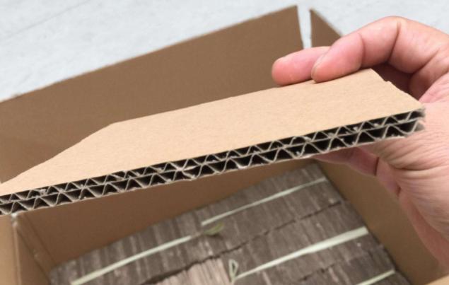 君子兰小夹子,君子兰长歪用的黑纸片