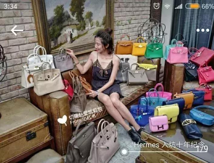 老佛爷的遗产真的由猫继承,老佛爷的所有家产最后留给了猫