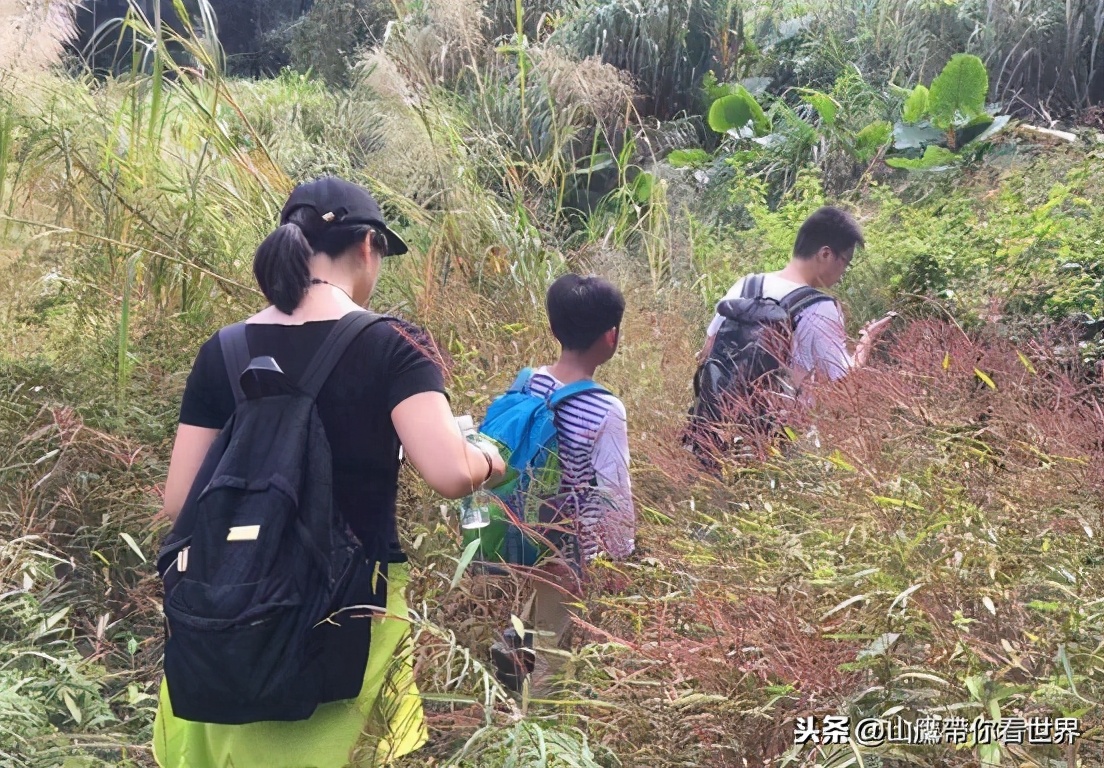 深圳十大名山峰,深圳最陡峭的山峰
