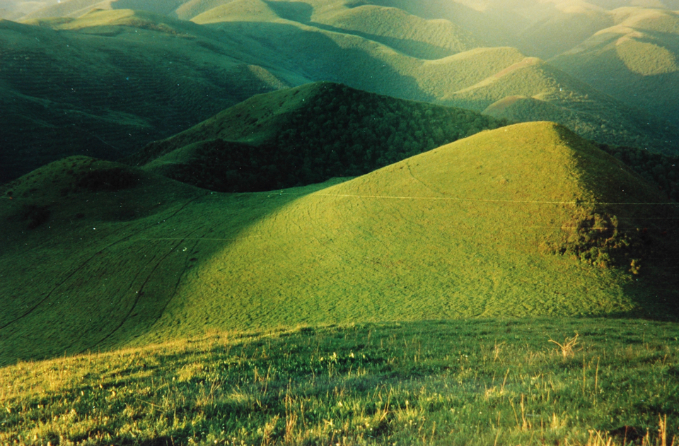 武山县油菜花旅游打卡地,天水武山滩歌油菜花海掠影