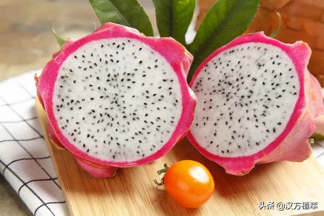 水果含糖量高的人不能吃,水果很甜不等于含糖量高