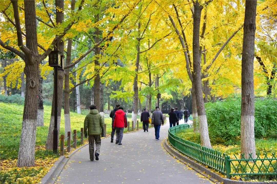 漫步西城|沿着千年时光的脉络,遇见广内~