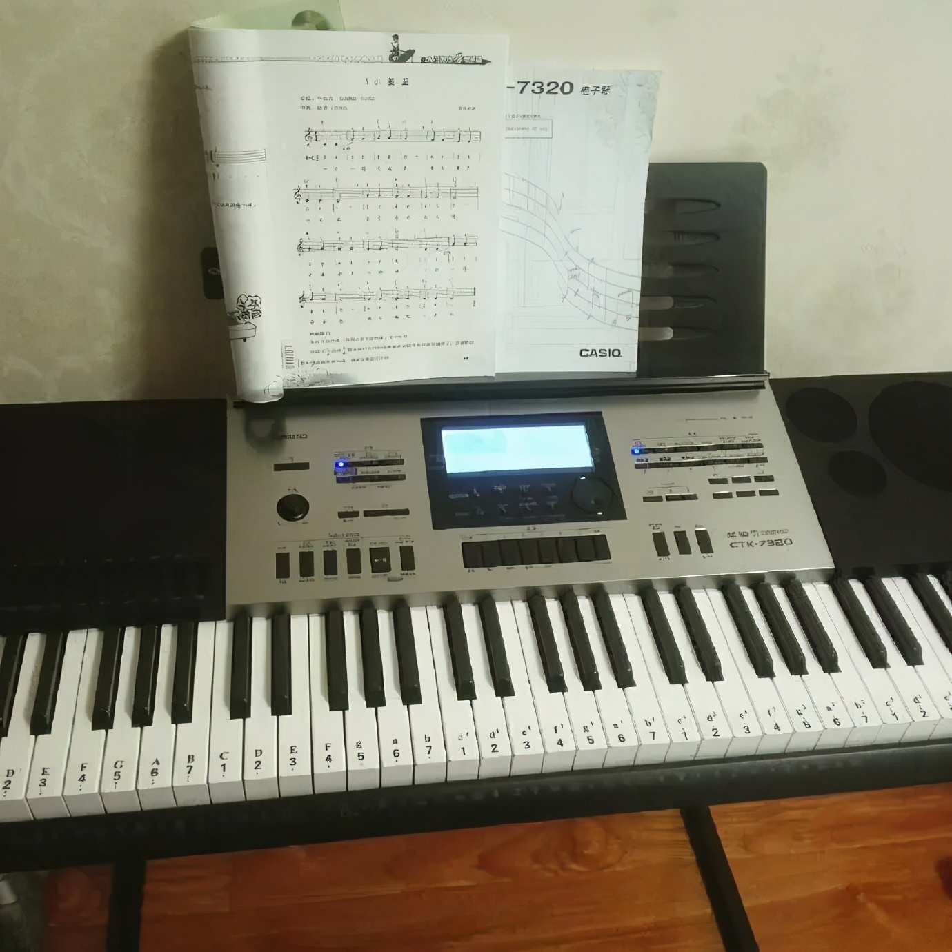 王春霞创作的原声,王春霞国画