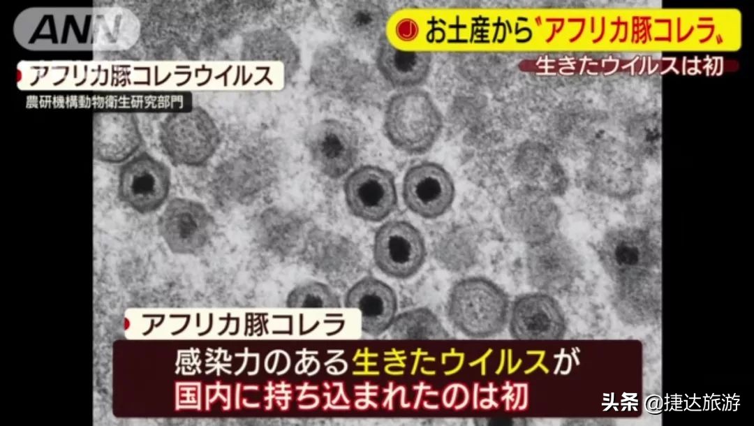 日本海关禁止入境物品名单最新,日本为什么入境禁止携带肉制品