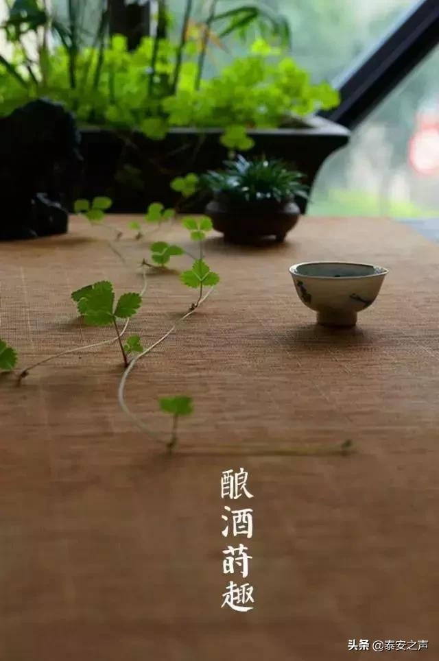 今日春分不负春光万物可期,今日春分莫负春光