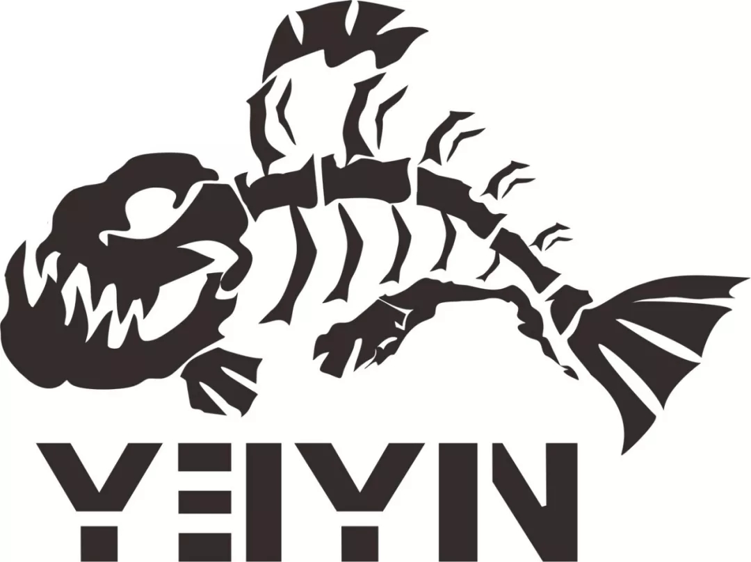 张韶涵2021秋季穿搭,张韶涵同款2019