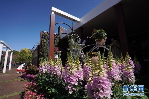 生态天津绿色发展,天津绿色生态屏障建设驶入快车道