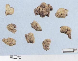 怎样辨别三七真假最简单的方法,真假三七粉如何辨别