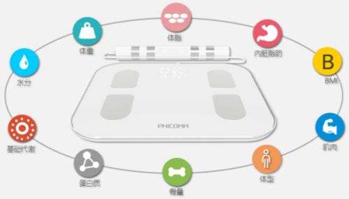 经常都在使用的健康码你了解吗,经常用的体重秤