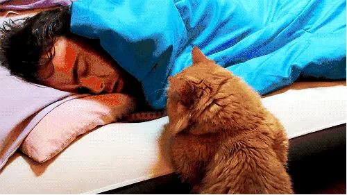 给我你的“叫床权”好不好？