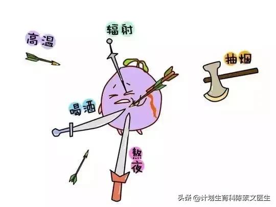 胎停育亲身经历,写给保胎路上的姐妹们