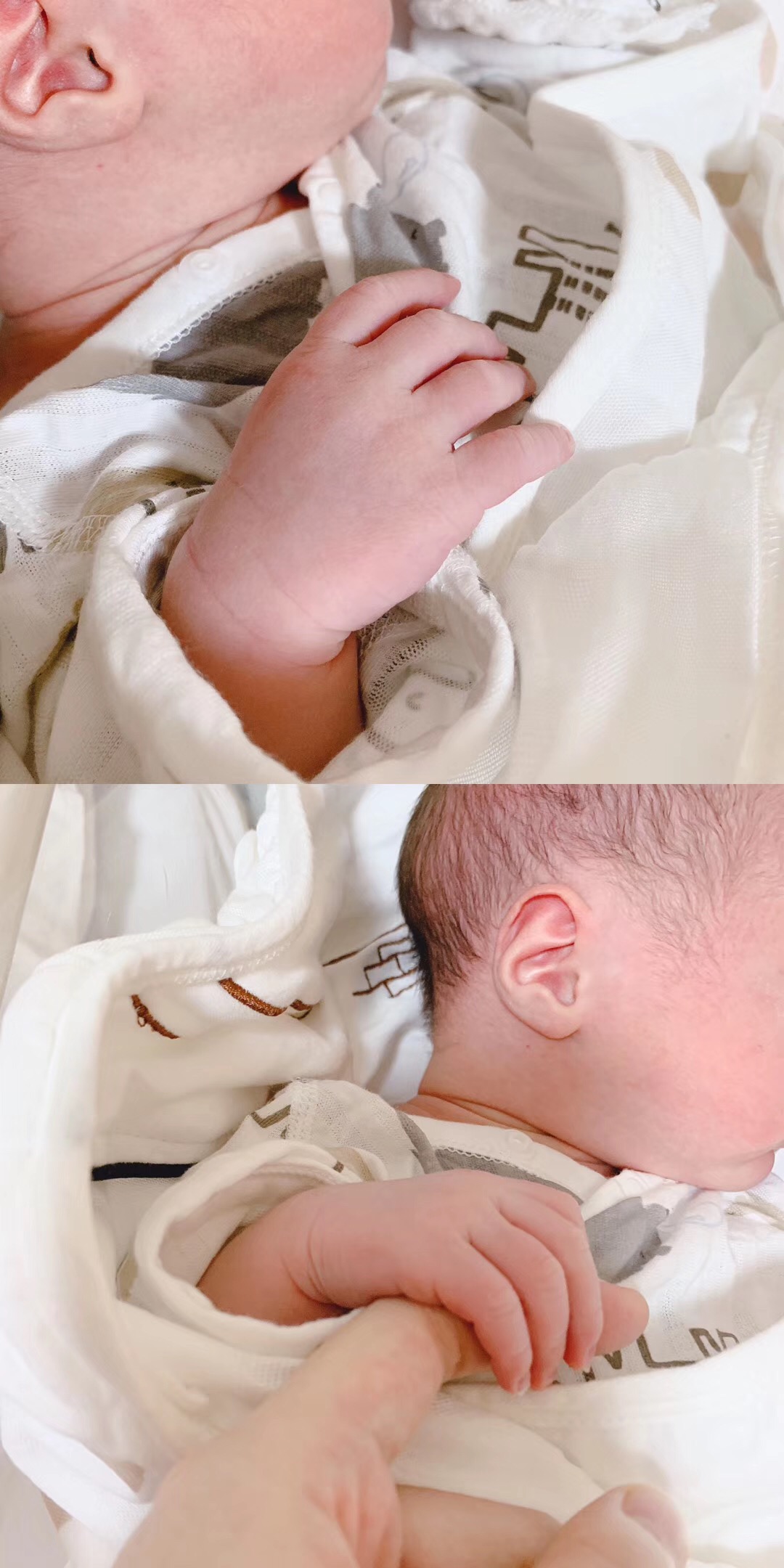 海南第十五届孕妈彩绘大赛,2019年第14届孕妈彩绘大赛