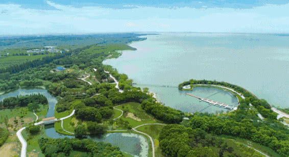 上海青浦区城市建设,上海市青浦区发展前途