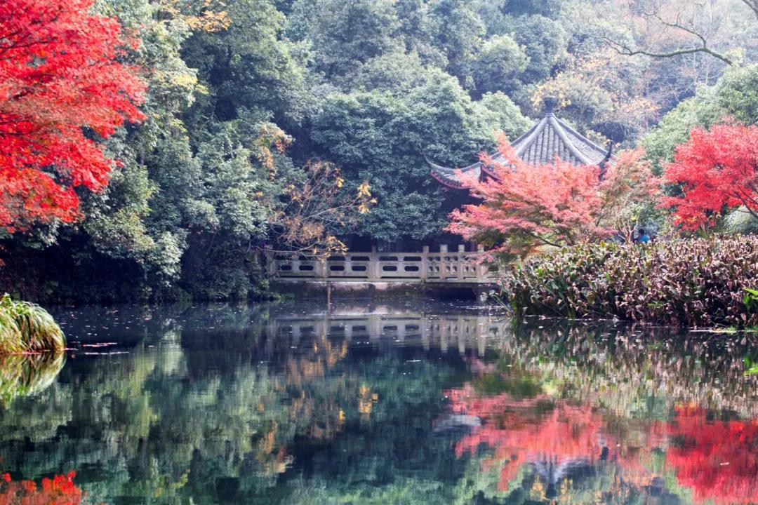 杭州满觉陇山舍民宿,杭州山舍满觉陇