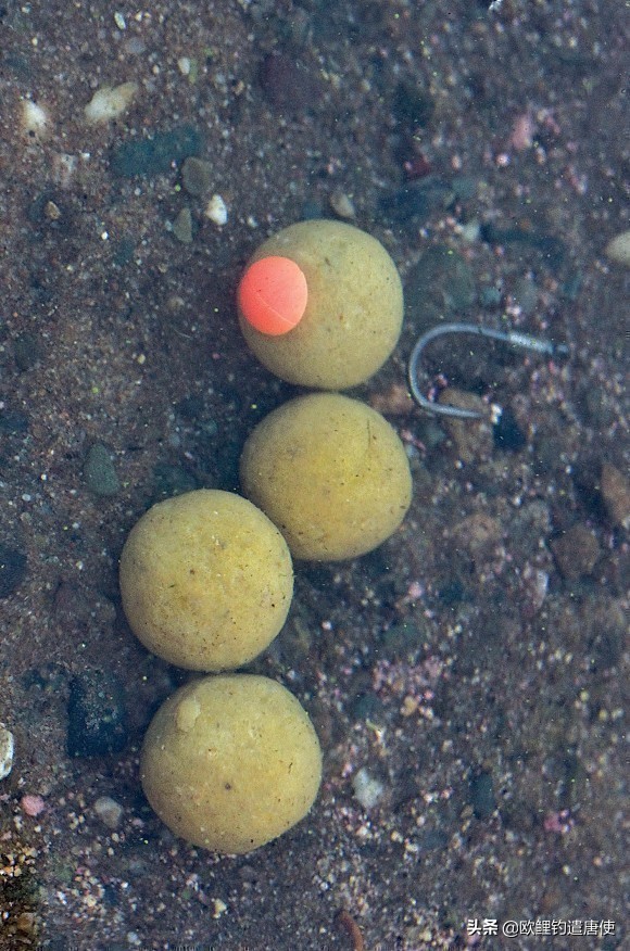 外国人钓鱼打窝技巧,老外用超大饵钓鱼