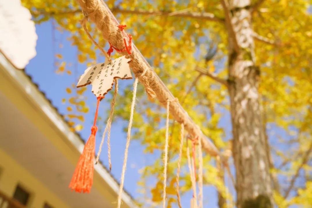 60岁前必去的中国各省区最美天堂,全国各省最美天堂你都去对了吗