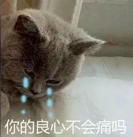 百元创业投资骗局,100元投资电影骗局