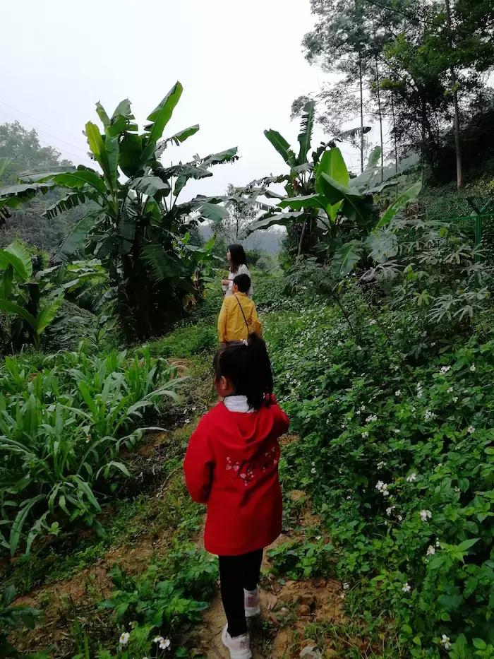 深圳甘坑徒步旅游攻略最新,有关甘坑客家小镇的游玩攻略