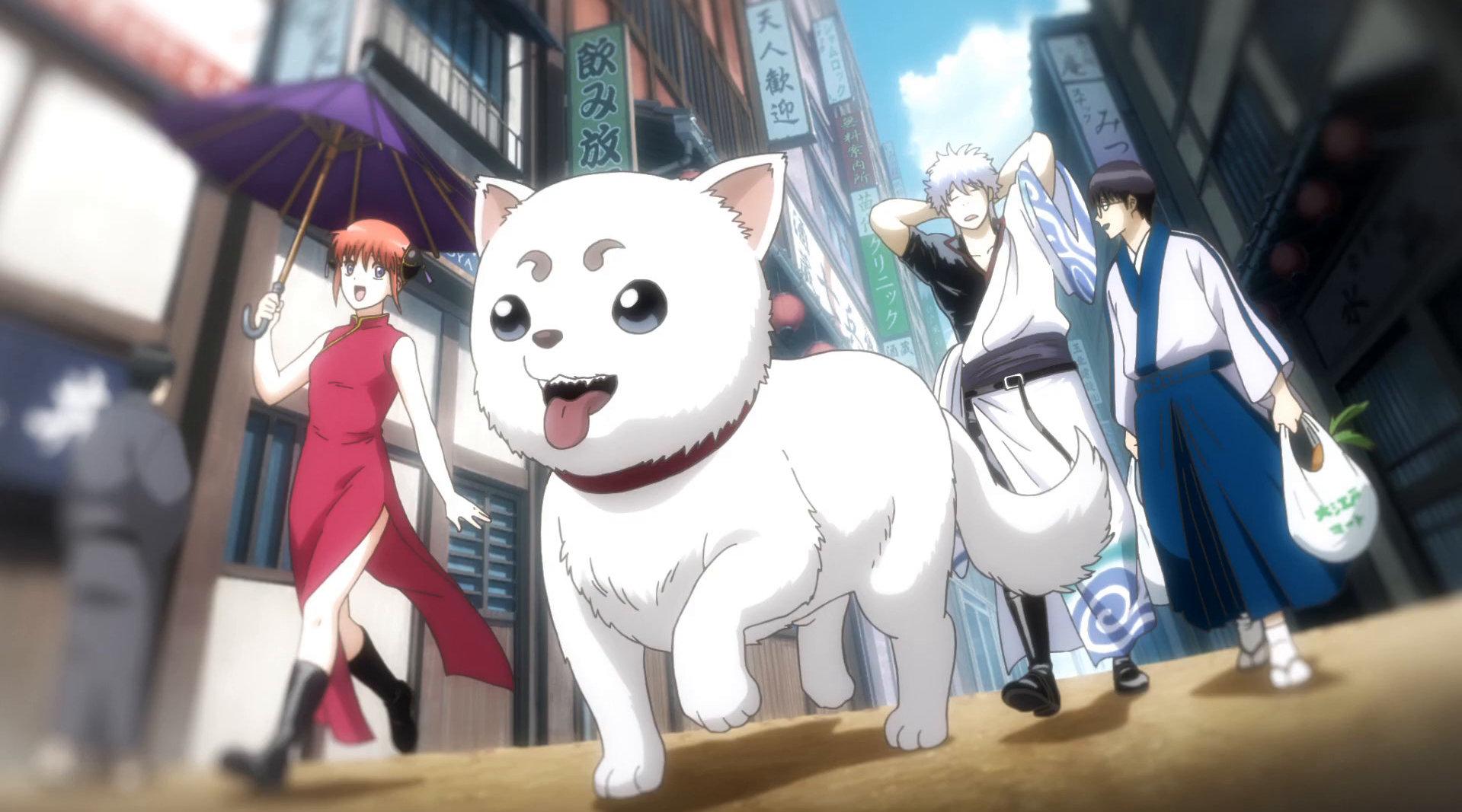 b站2021年一月动漫推荐,2020-2021番剧合集