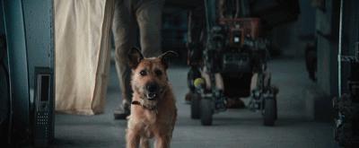 一部被低估的科幻电影末日,现在最火的末日片有哪些