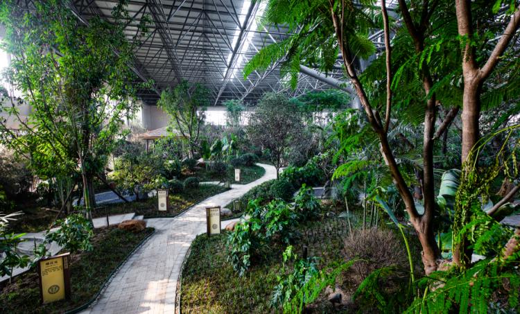 济南泡温泉推荐的好地方,济南冬天泡温泉最好的地方