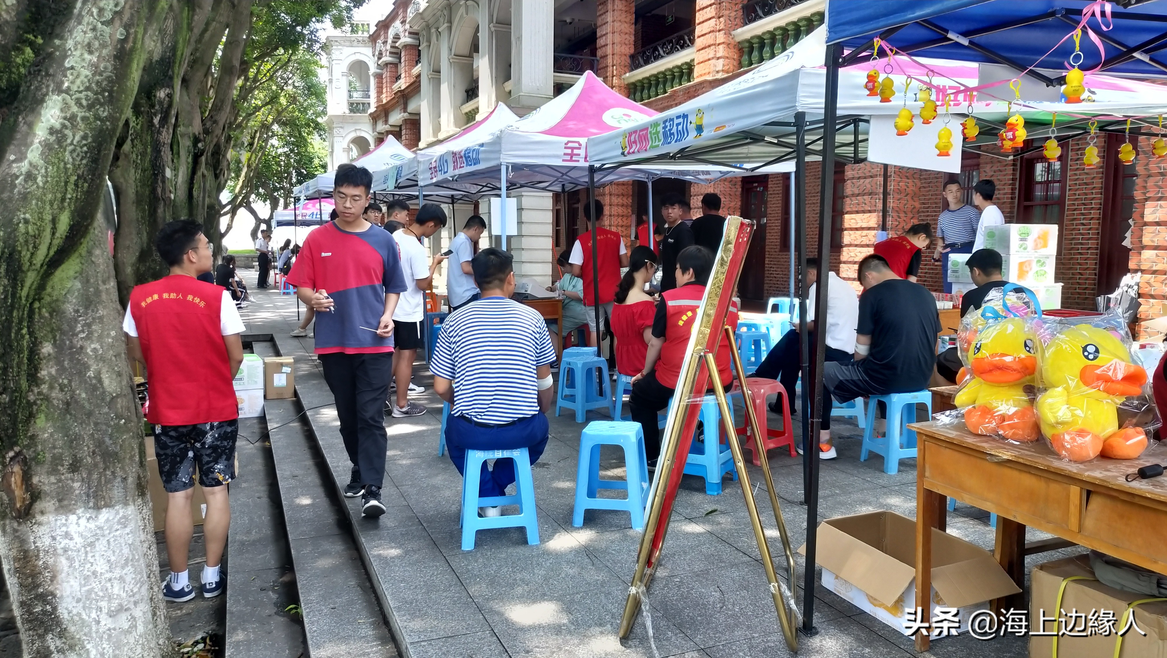 献血车到大学一定要献血吗,献血车能开进校园吗