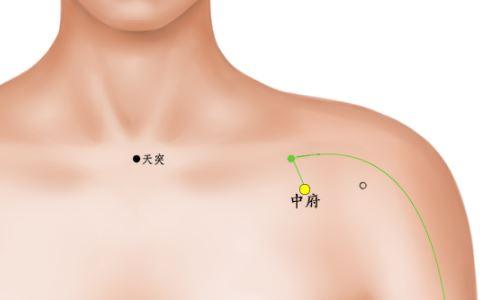 慢性支气管炎要天天用药吗,慢性支气管炎可以吃中药调理吗