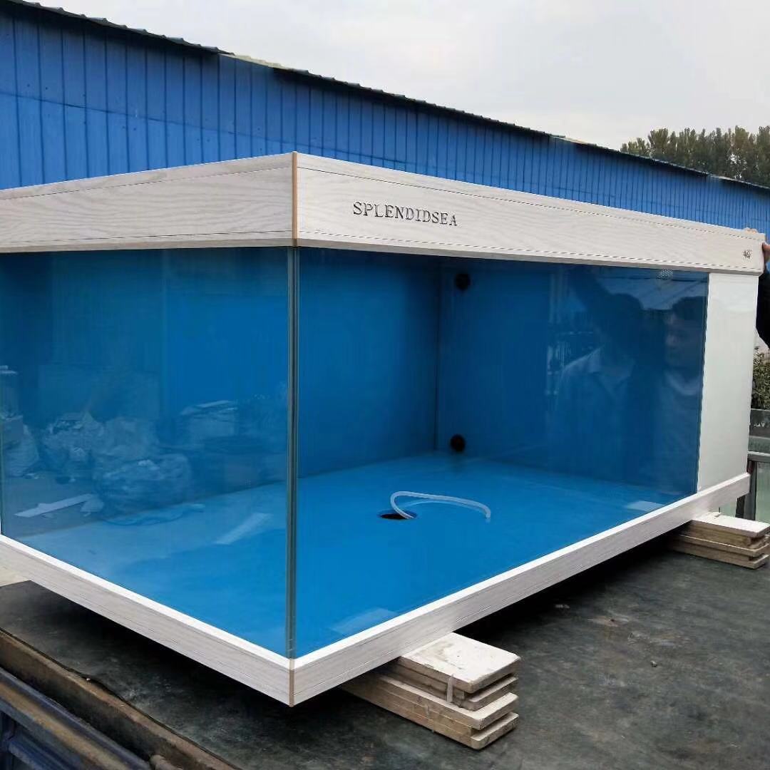 渔友张哥小视频,新鱼缸养锦鲤鱼正确的方法和技巧