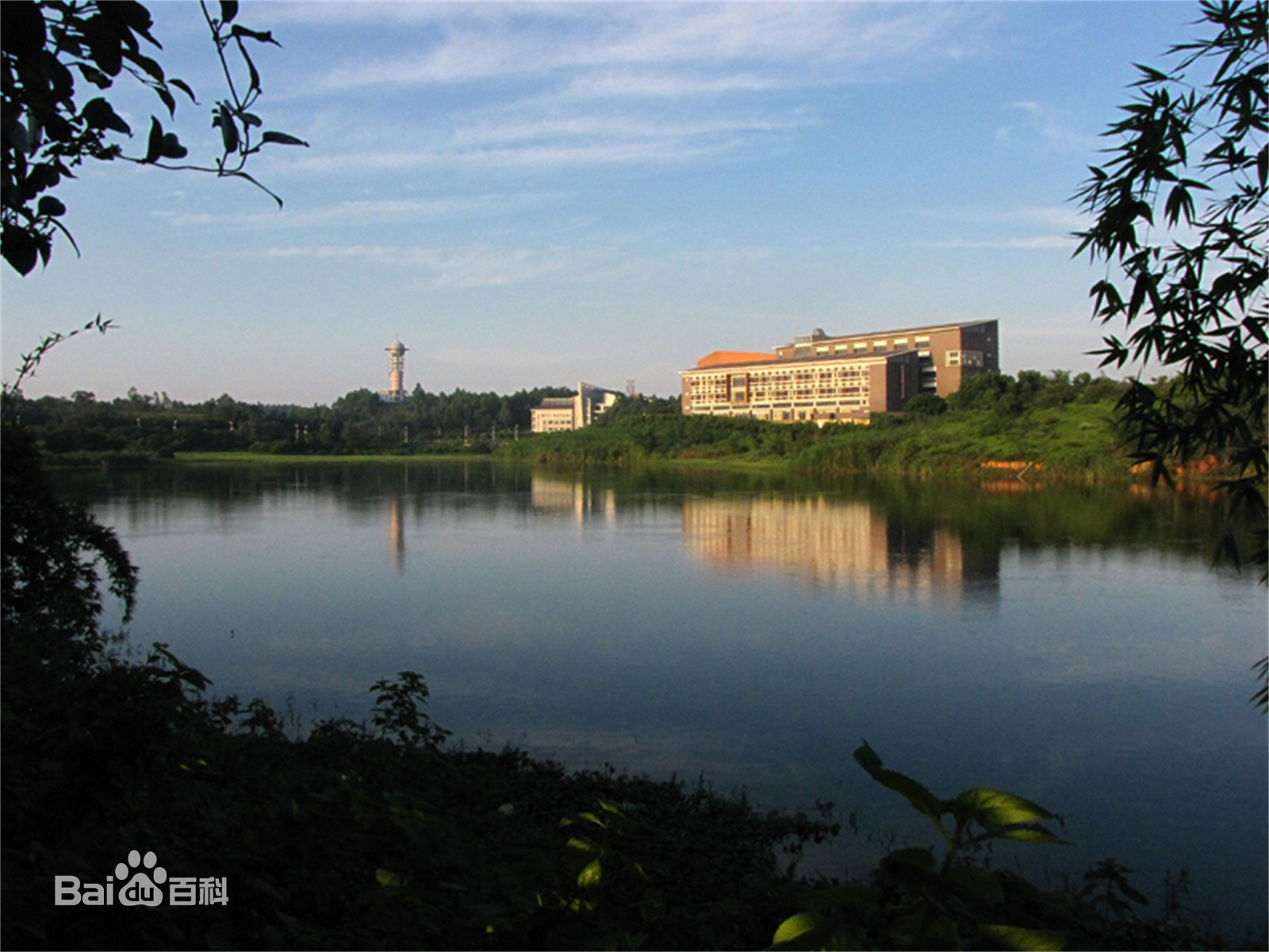 广东轻工职业技术学院升本,广东轻工职业技术学院的专业