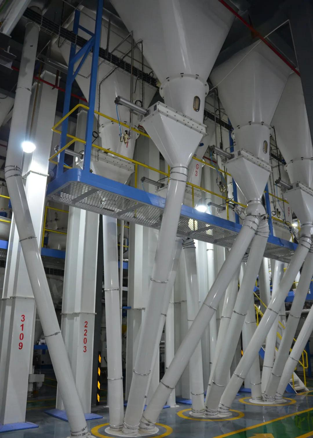 双桥镇唐人神骆驼饲料,唐人神集团骆驼饲料效果