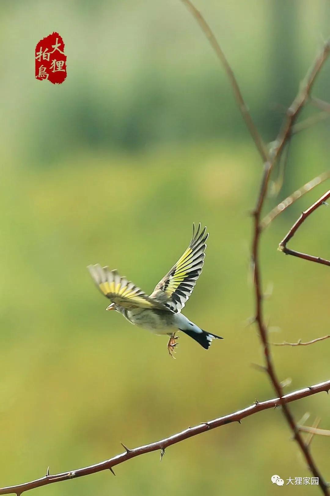 带娃的日子有滋有味,日子过得有滋有味广场舞