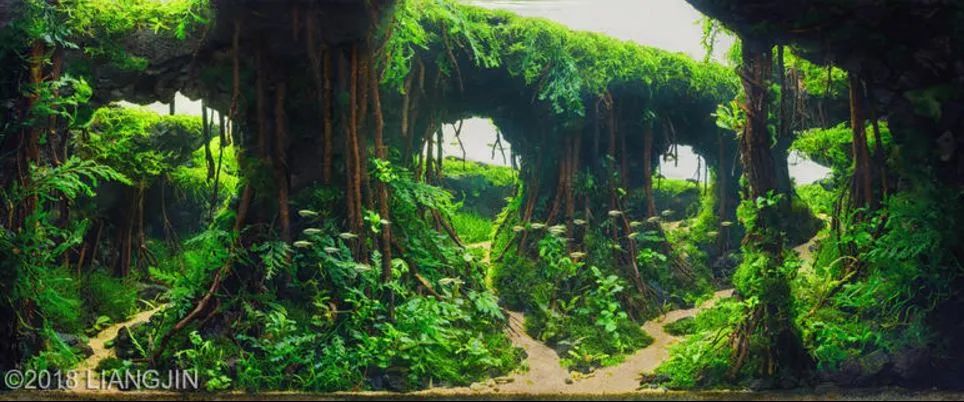 造景如何看起来有层次,十个最好看的造景