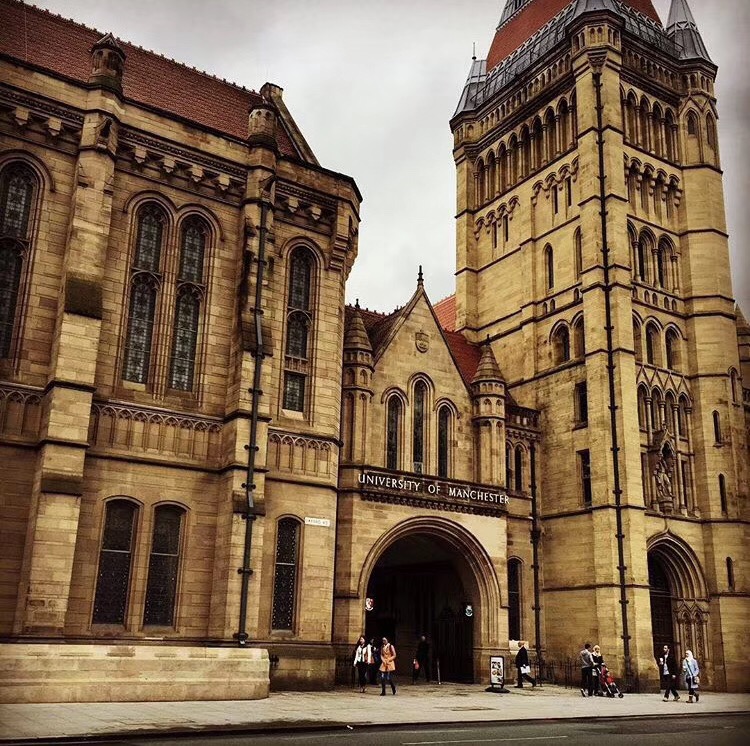 求职鄙视链,英硕回国如何找工作