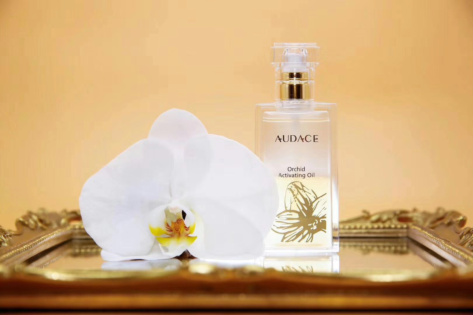 audace奥达士兰花精粹油,奥达士兰花油新款