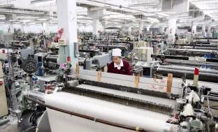 棉五老照片,棉五回忆