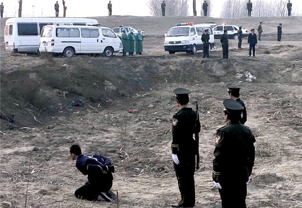 死刑缓期两年执行意味着什么,死刑反缓期两年执行是什么意思