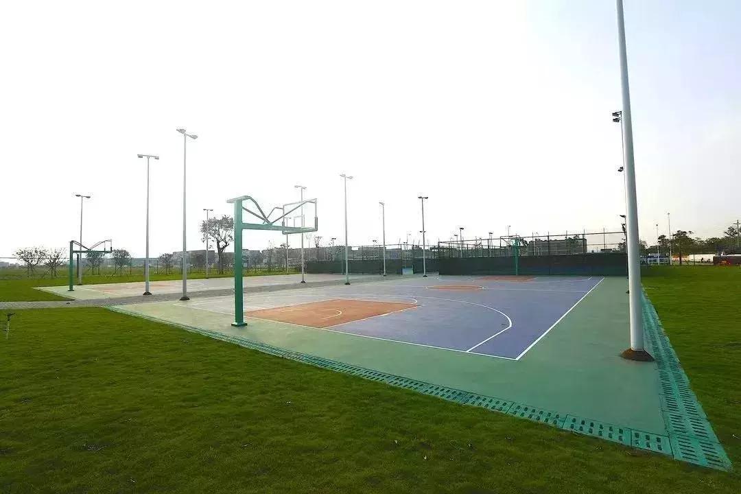 深圳荟同学校课堂录像,深圳荟同学校高中