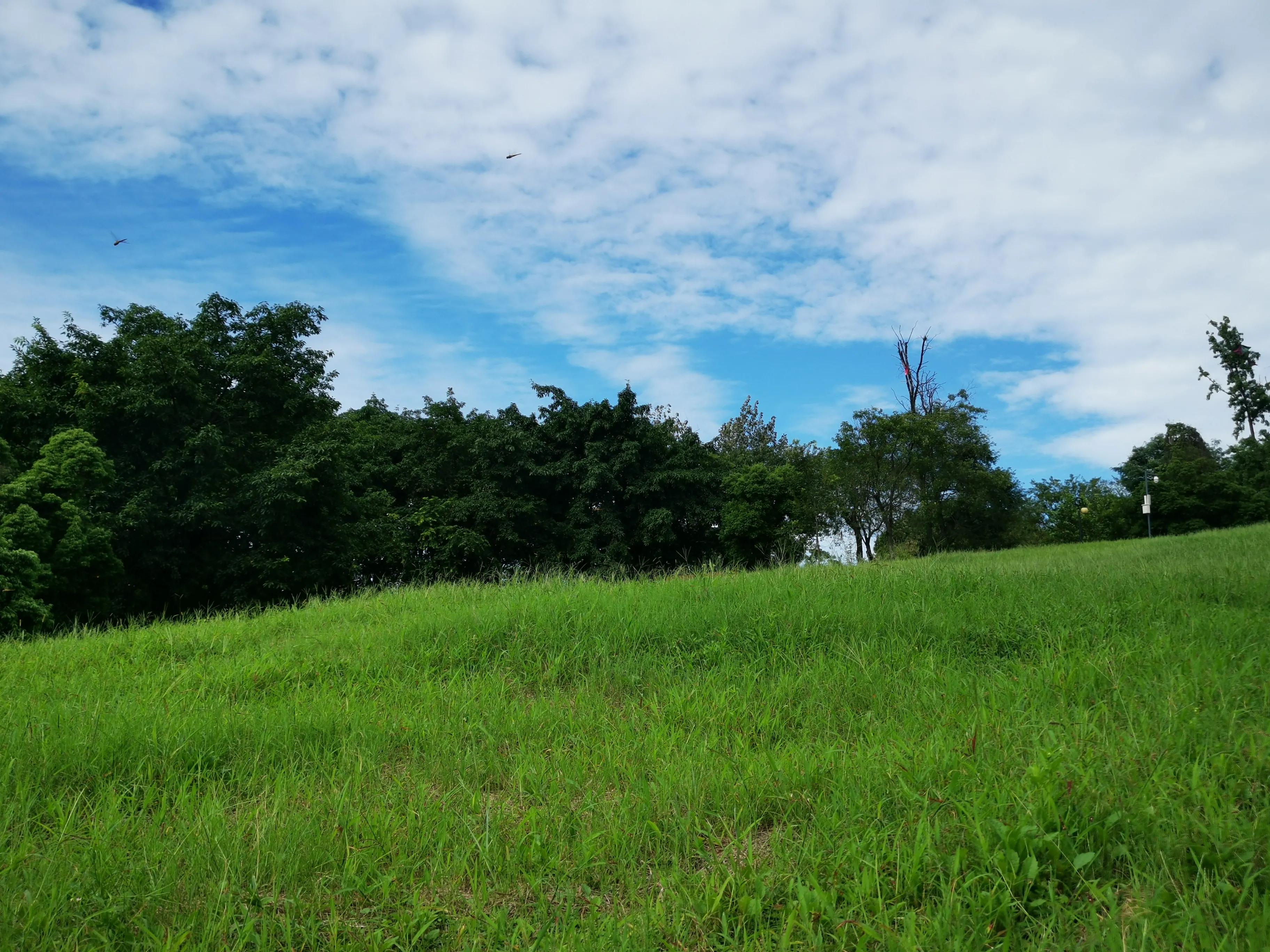 老成都的记忆：城北凤凰山