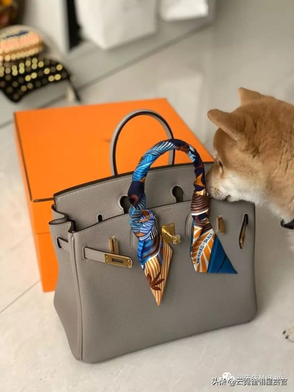 非常好看的宠物包,大家的包都带什么玩偶