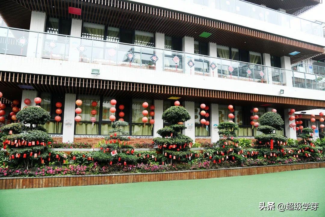 金牛区教育不咋行,老牌名校已没落?幼儿园到高中怎么选?