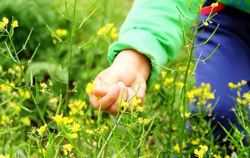 邪性的果报,男人犯了淫恶的果报