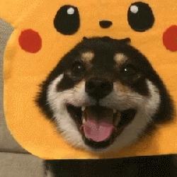 这个村子真美图片,村子里的风景真美