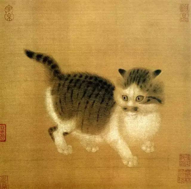 中华田园猫古代名称图鉴,古代人怎么挑选猫