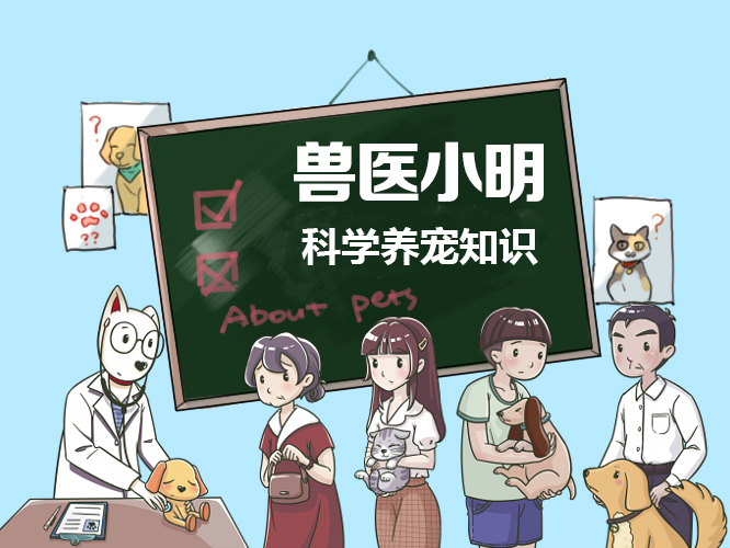 狗妈妈奶水不够吃怎么追奶,狗妈妈奶水不足的表现