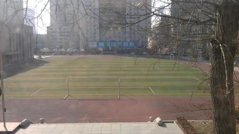 大连市第十三高级中学,辽宁省大连市第二十高级中学