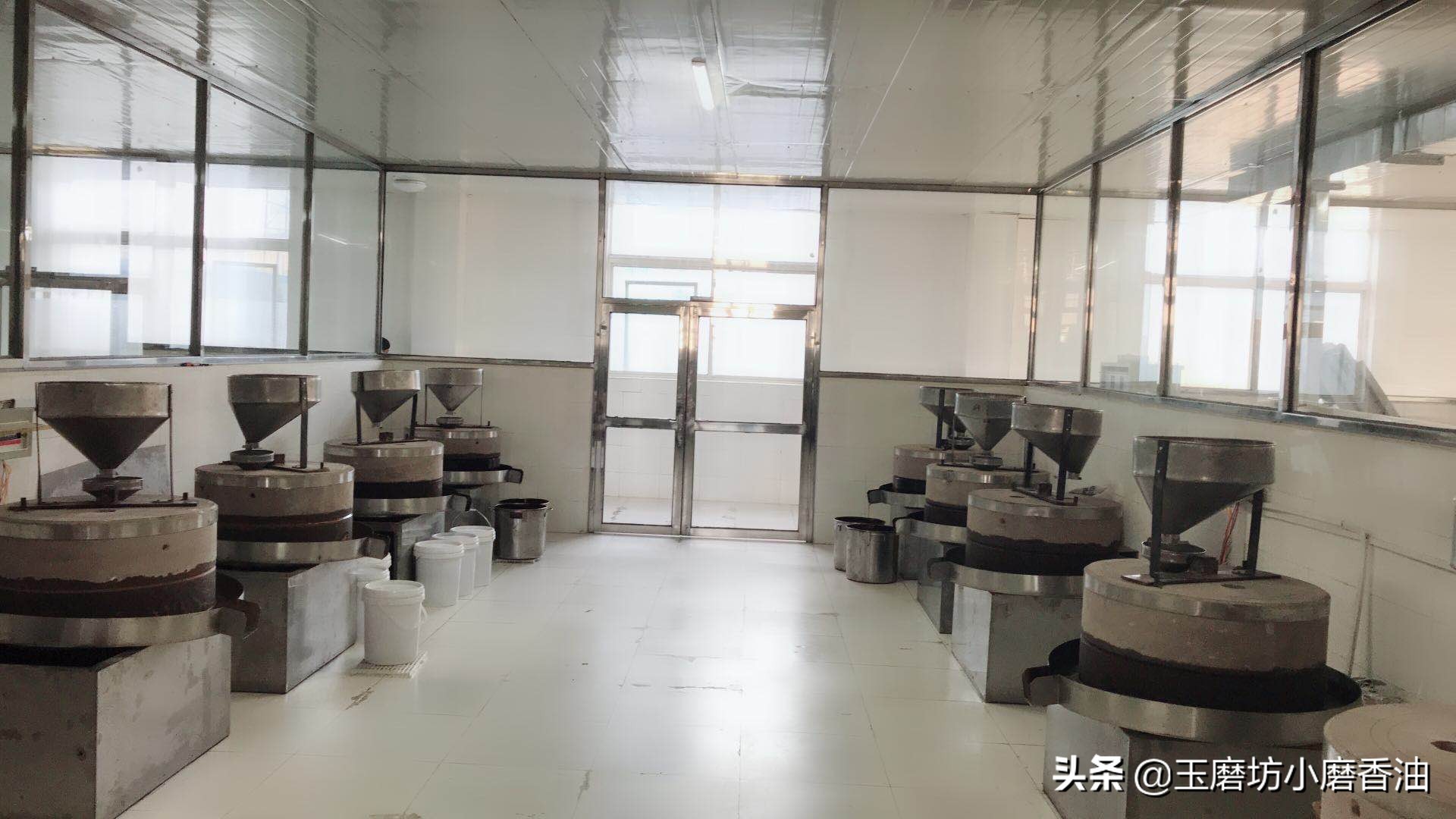 500克香油价格,香油1斤价格