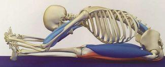 练习瑜伽之前必须要做的拉伸,瑜伽拉伸的过程中慢慢的放空自己