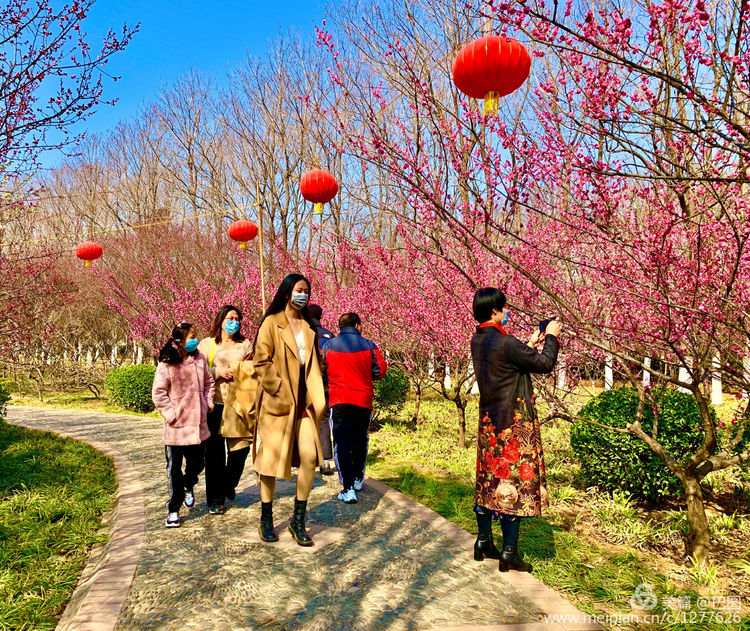 100张洛阳美女照片,100张洛阳女人图片