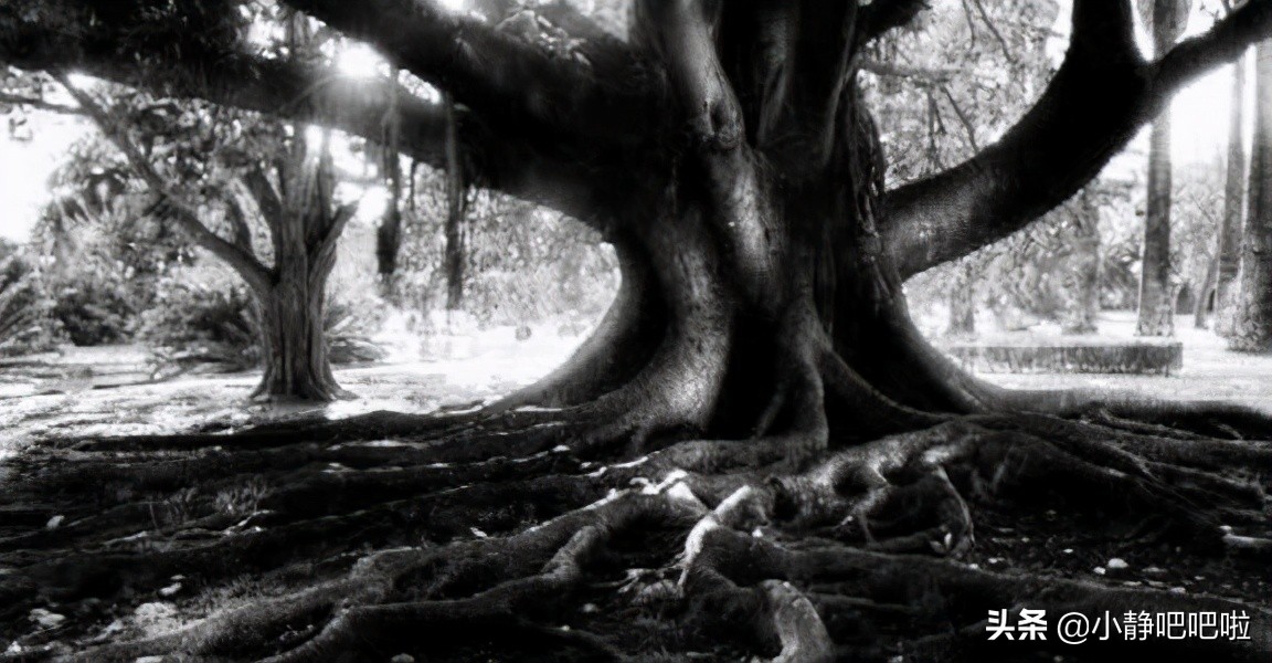 马达加斯加奇葩冷知识,你不知道的国家冷知识摩洛哥